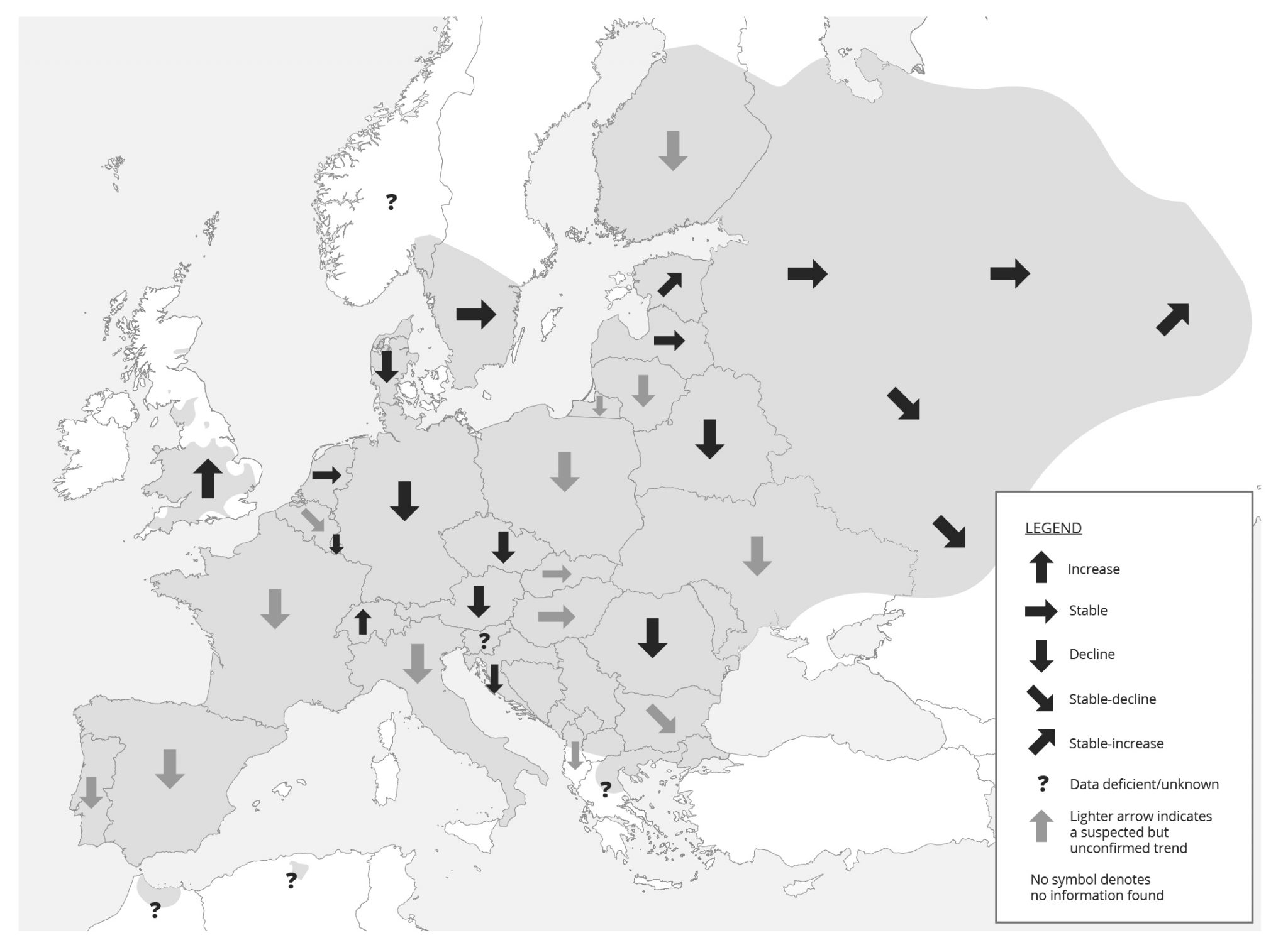 Polecat Impact On Small Mammal Populations